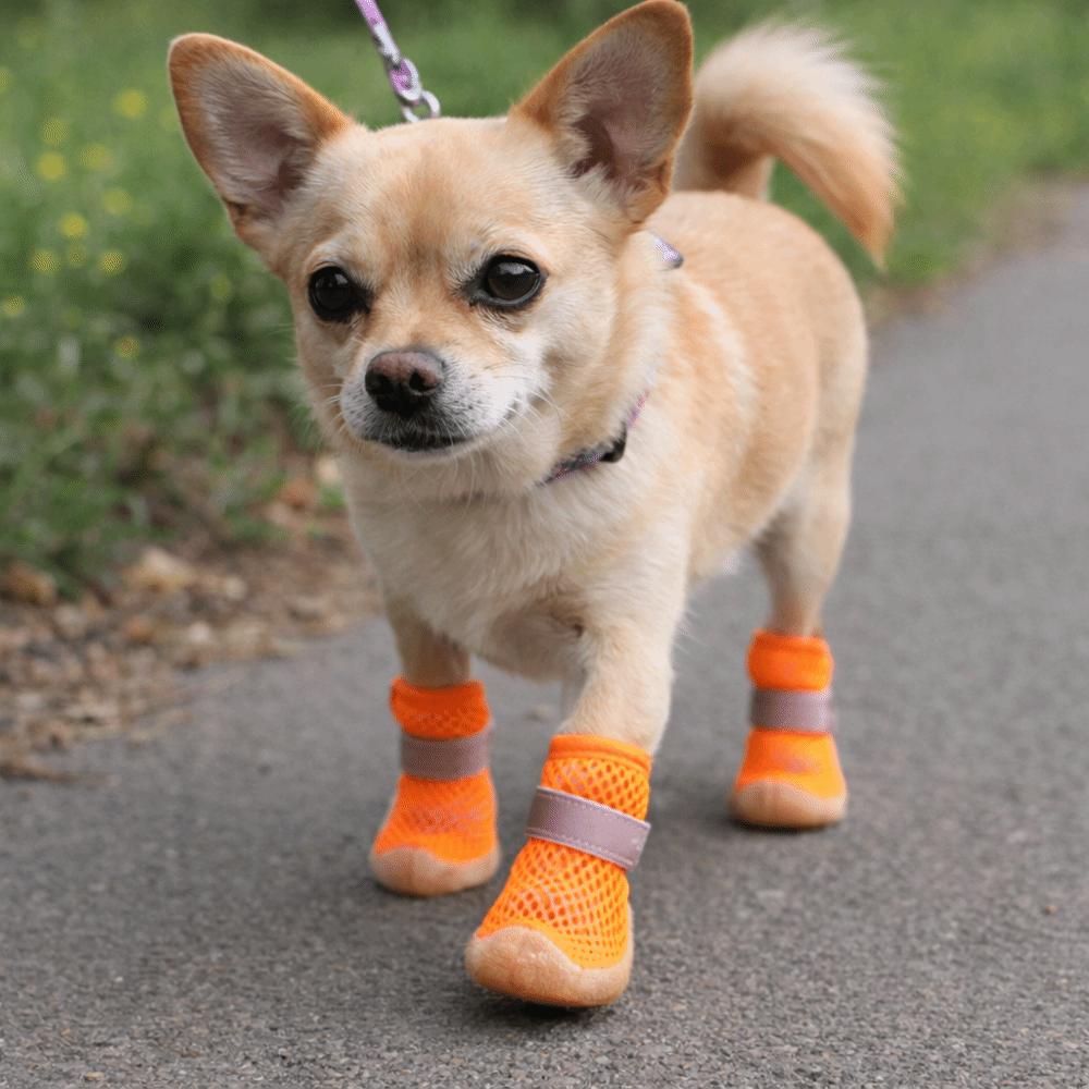Wear Resistant Dog Mesh Shoes Breathable Pet Paw Protector Casual Style Dog Foot Covers Training