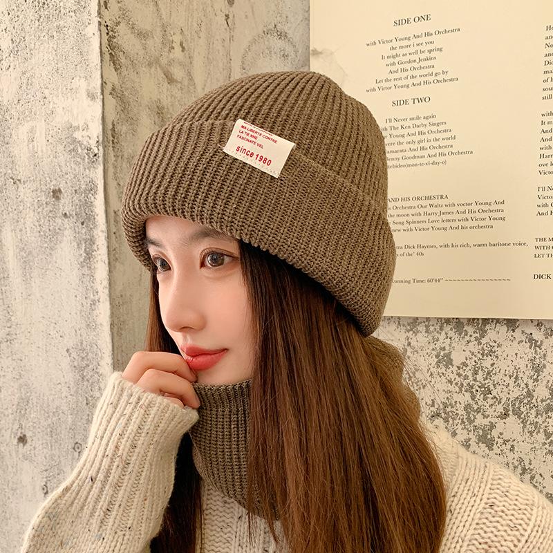 New Women's Pile Hat Letter Mark Autumn and Winter Warm Ear Protection High-end Knitted Wool Hat