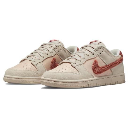 Nike Dunk Low Terry Swoosh Women Sneakers DZ4706-200