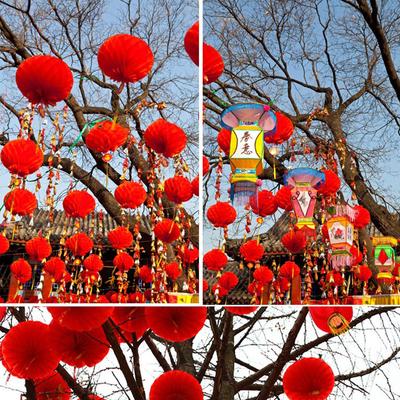 10Pcs 2023 Chinese  Year Traditional Chinese Red Paper Lanterns Decoration
