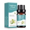 10ml Car Perfume Water-soluble Air Freshener Aroma Diffuser Air Humidifier Essential Oils Freshener Scents Fragrance Oil Perfume