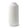 Flature Ceramic Vase In Nordic Style, Deco Vase Large for Pampas Grass As Boho Deco, Vase White Matt 10 Inch for Flowers