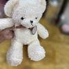 [USED] White teddy bear with ribbon