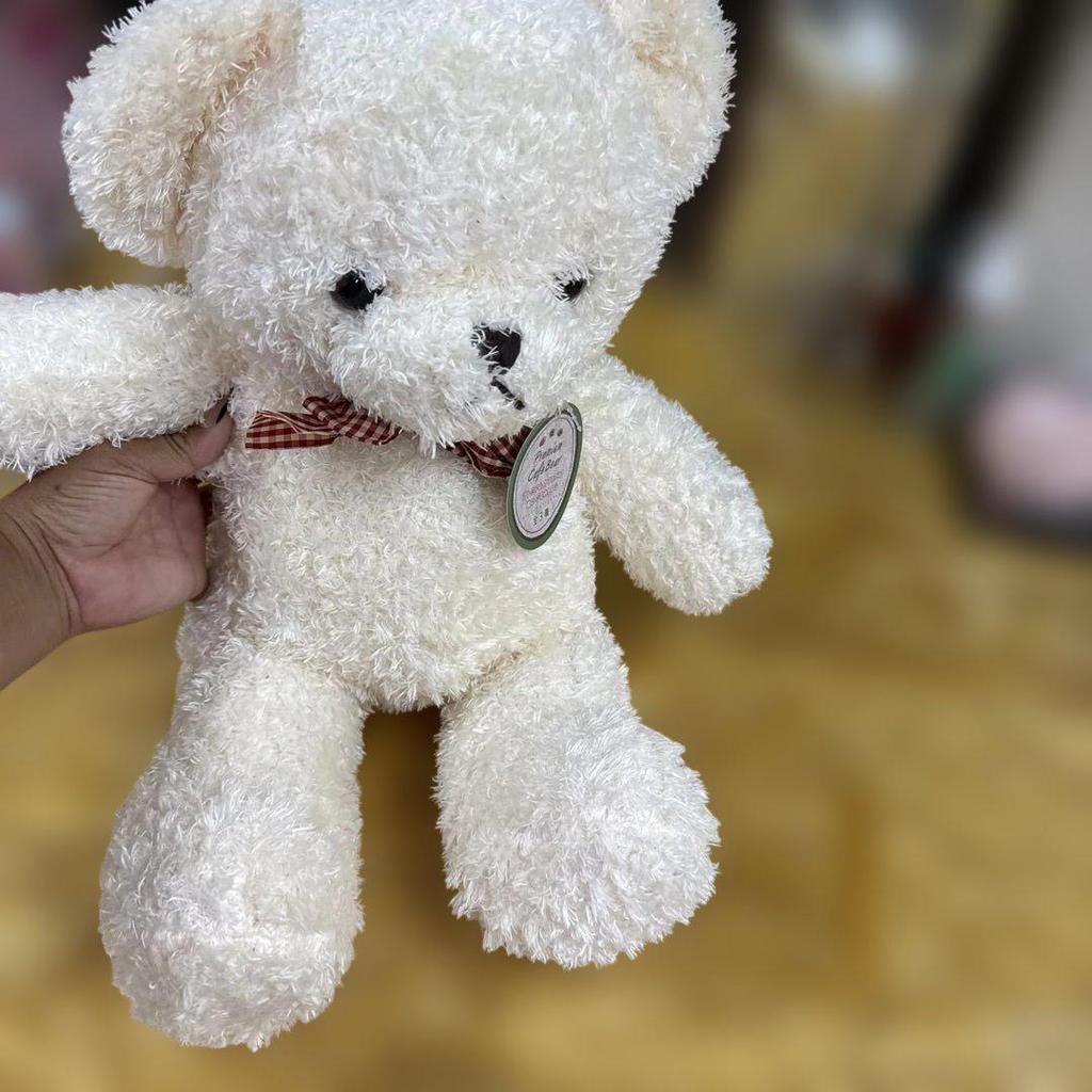 [USED] White teddy bear with ribbon