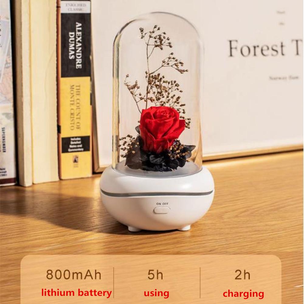 USB Rechargeable Eternal Flower Fragrance Night Light Mute Lava Lamp Mini Essential Oil Desk Lamp Holiday Gift Bedroom Décor