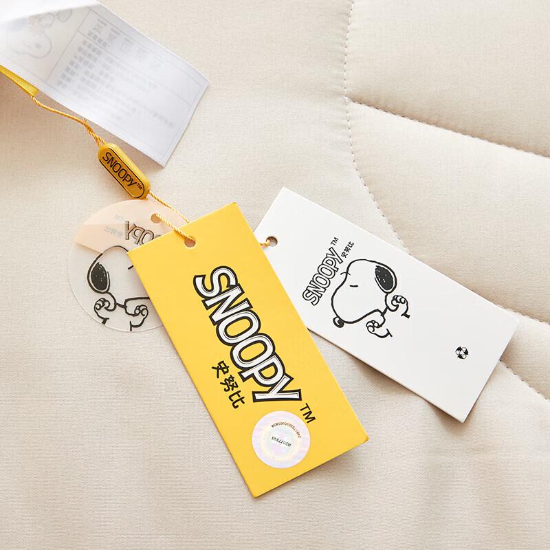 Snoopy Four Seasons Quilt