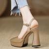 Handmade women's shoes new 2025 waterproof platform high-heeled sandals thick heel pointed buckle beige temperament high heels