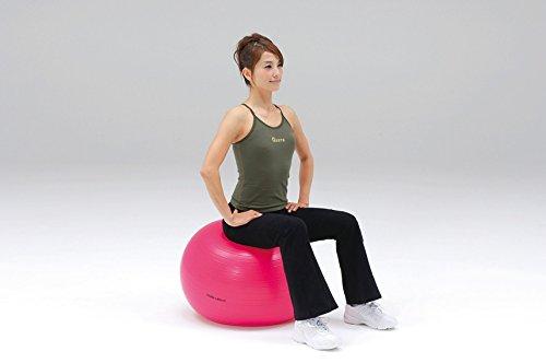 TOEI LIGHT Body Ball 55 H7261