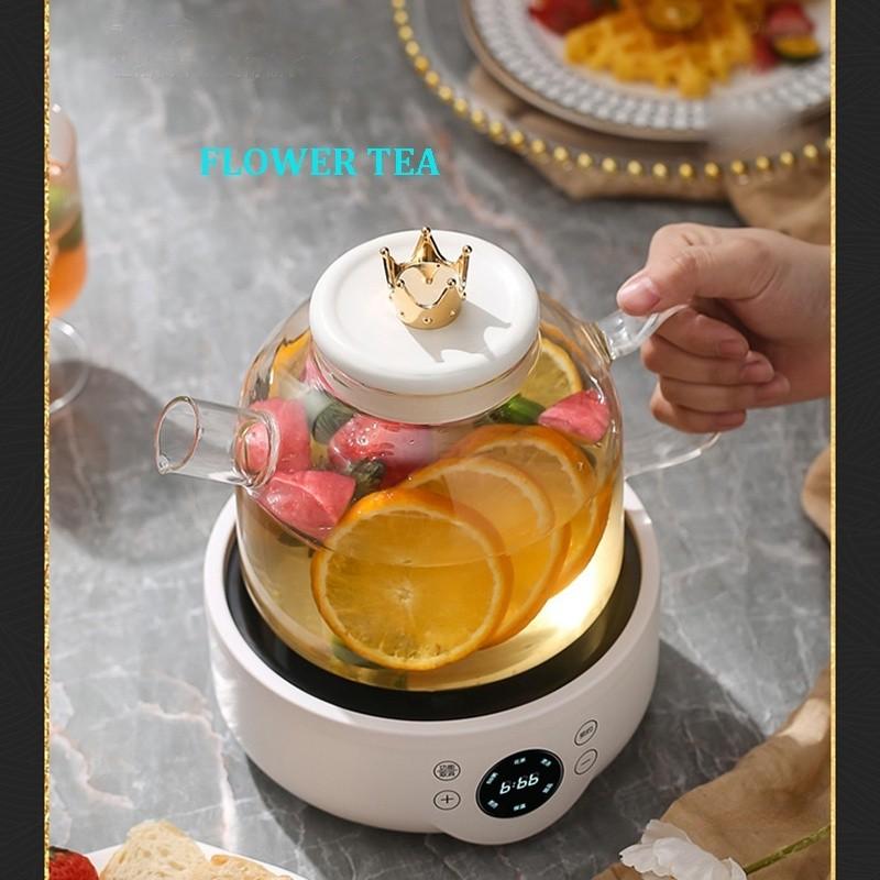 500W Intelligence Multi Functional Health Pot Large Capacity Soup Boiler Teapot Household Timeable Stewing Cookware