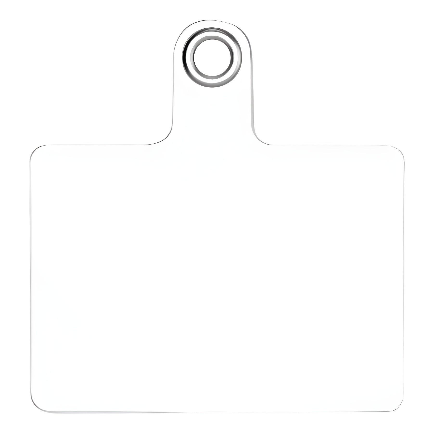 Universal Phone Lanyard Pad Phone Charging Port Fixed Connection Card Phone Case Clip Lanyard Sticker Hanging Piece Transparent Card