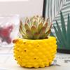 Moule en Silicone Forme de Fruit Vase Pots de Fleurs Pot à Stylo Succulente Outil de Fabrication DIY Moule de Vase en Résine Béton Décorations de Maison Outil