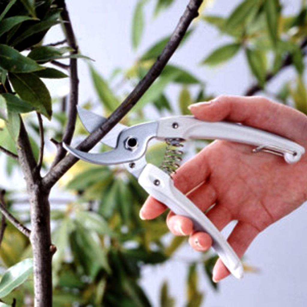 Ars Corporation 130DX-G Mini Choki, Lightweight, S