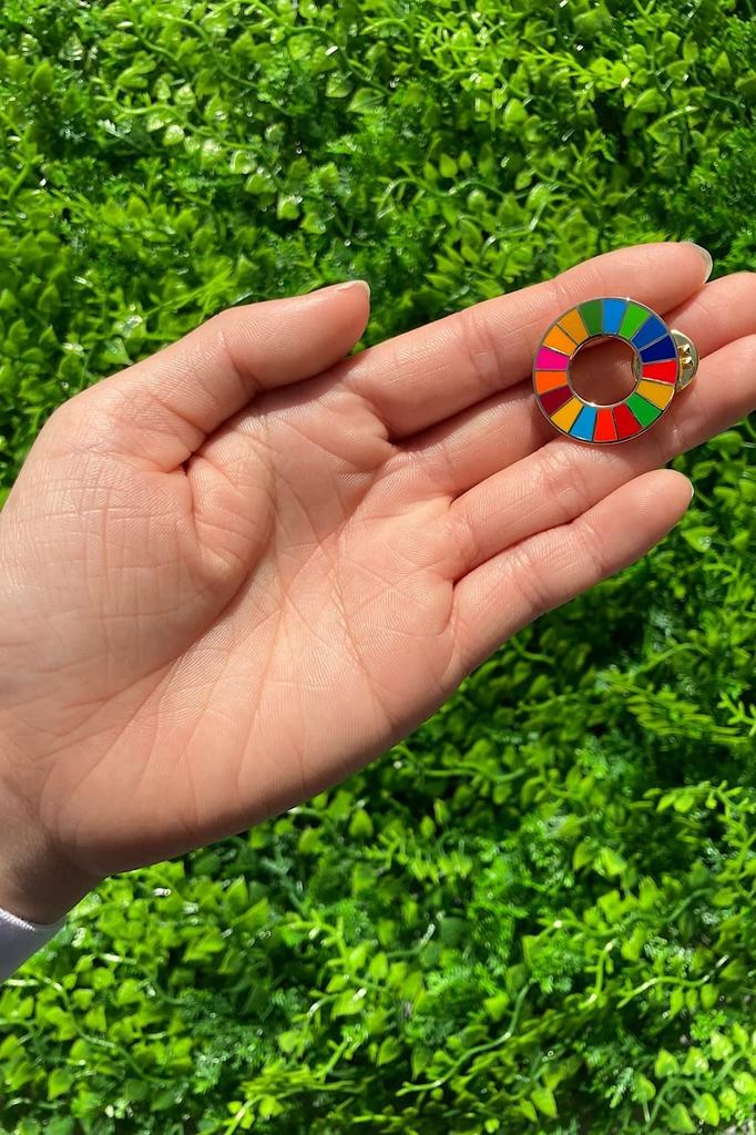 Nations Official Latest System SDGs Badge 25mm Gold Cloisonne SDGs Badge Pin Badge SDGs Perfect for Hats and Bags Cute [United Specification/Invoice