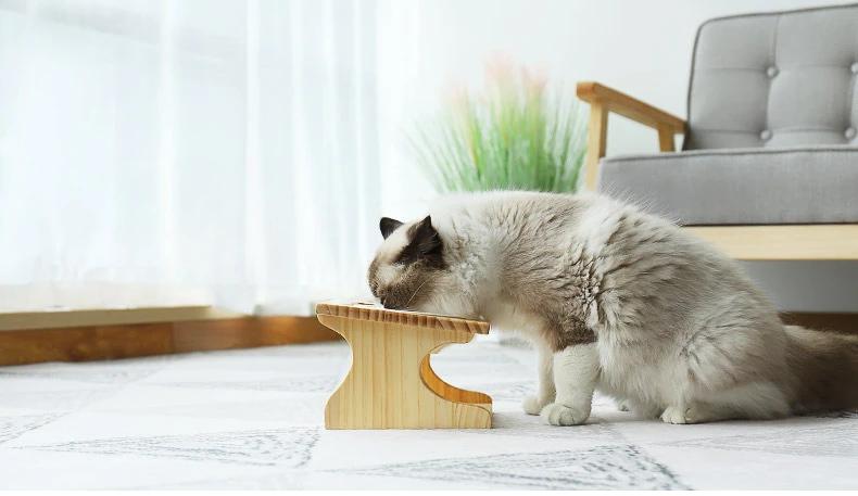 Cuenco Cerámico para Gato Suministros para Mascotas Cuenco para Comida de Gato Cuenco Cerámico con Patas Altas Inclinado Madera Maciza