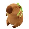 Capybara Cute Plush Doll and Pillow - Gift for Girls