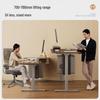 Loctek ES2Pro Dual Motor Electric Standing Desk