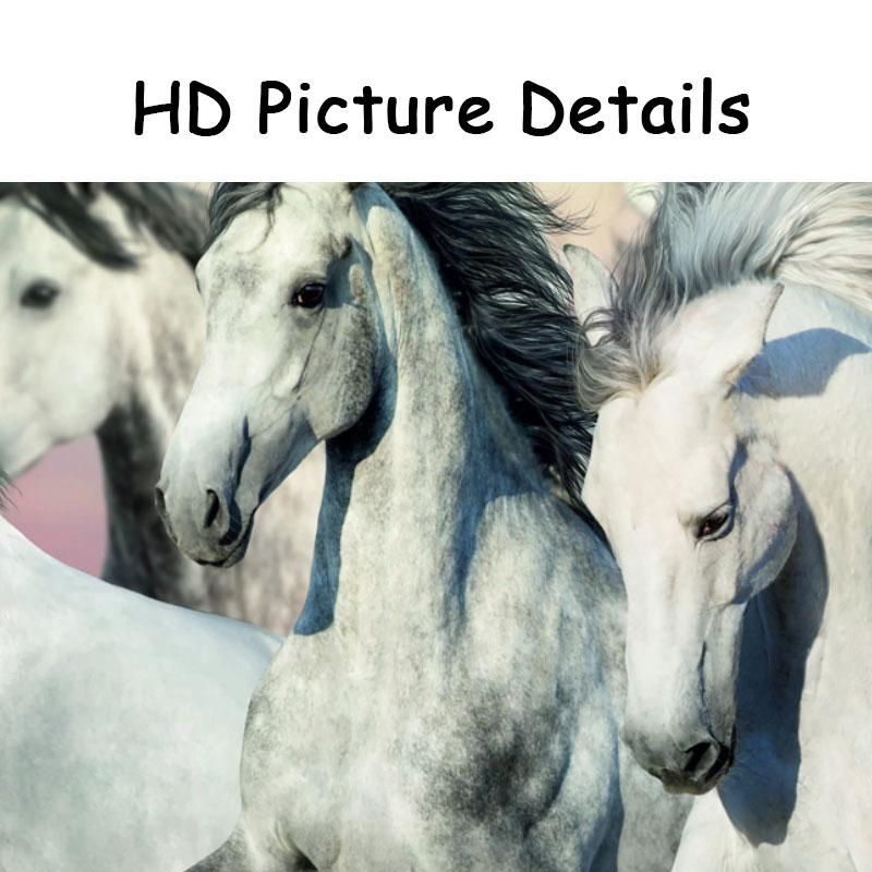 Big Size Retro Running Horses Group Galloping Canvas Painting Wall Art Animal Wall Pictures for Living Room Decoration Cuadros