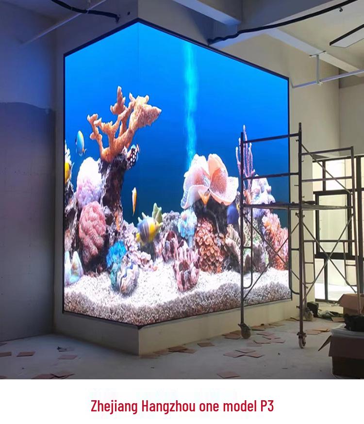 Full-Color LED Display Screen for Indoor/Outdoor Use – Perfect for Conferences, Advertising, Stages, and Mobile Installations