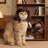 Große Welle Katze Kurzes Lockiges Haar Verstellbar Hairstyle für Haustiere Haustierbedarf Haustierperücken Cosplay Requisiten