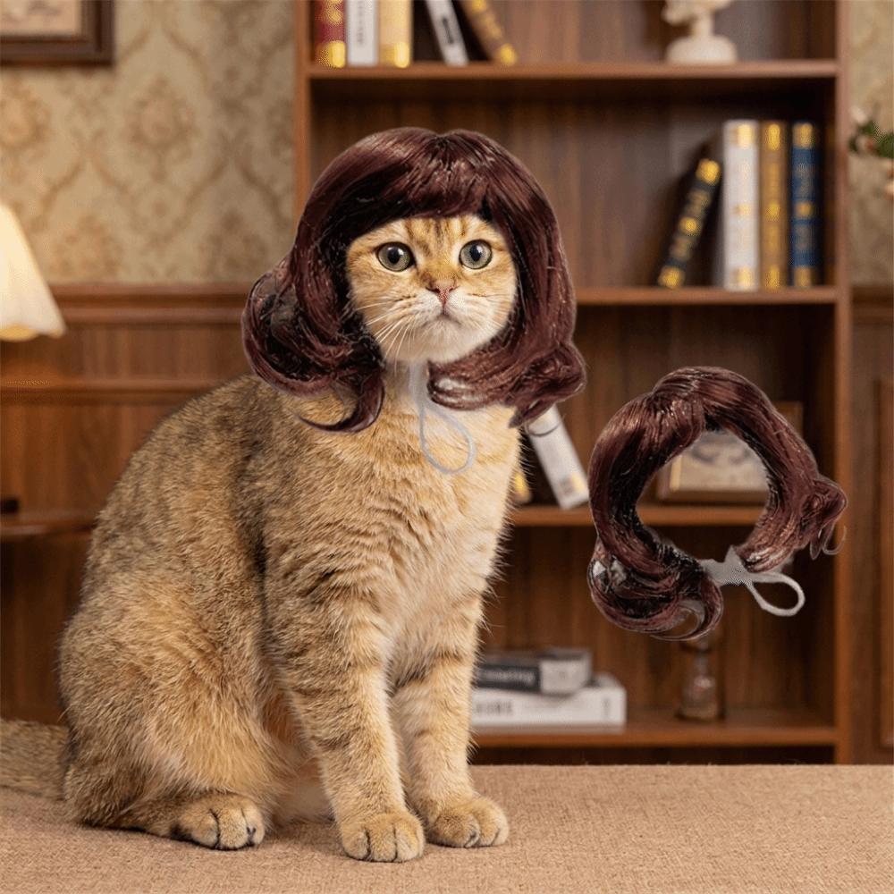 Große Welle Katze Kurzes Lockiges Haar Verstellbar Hairstyle für Haustiere Haustierbedarf Haustierperücken Cosplay Requisiten