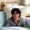 Conan Gray B-Bedroom-Pop Pillow Case Square Double-Sided Sofa Cushion Cover Bedroom Bedside Pillow Gift