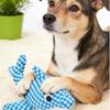 Söt bitbeständig Crinkle Sound Husdjursleksak Tändergnagare Sammets Pipande Hundleksaker Havstema Hundkompisleksaker Uttråkning