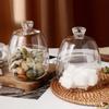 Glass Storage Jar Clear Glass Container with BellShaped Cover for Sugar Tea Coffee Dried Fruits Spices Kitchen Countertop Decor