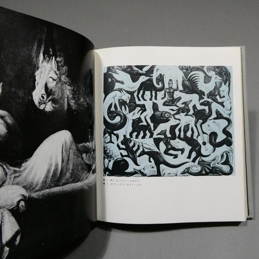 [USED] Vampire Fantasy Rosicrucian Society Tokihiro Tanemura Binding illustration Yuri Nonaka Vampire Gallery 1970 First edition