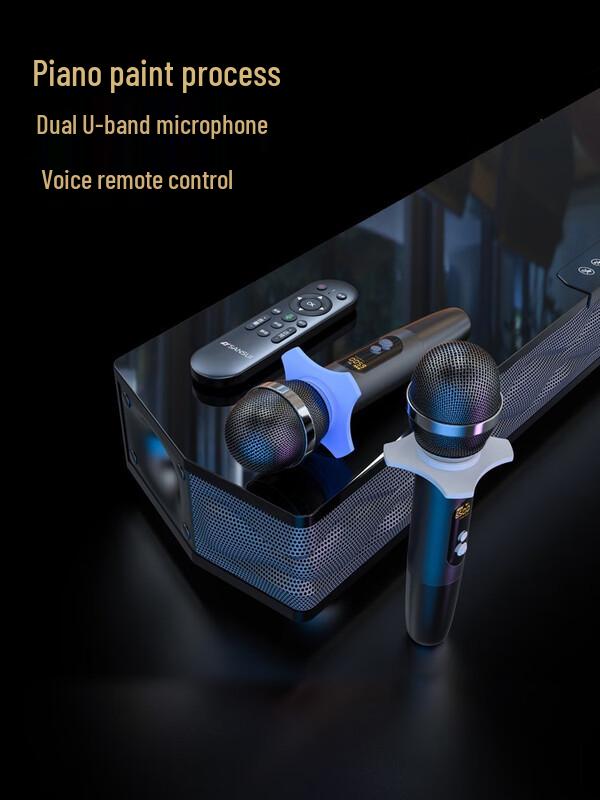 Shanshui P200 Home KTV Audio System