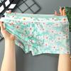Transparent Sexy Mesh Boxers Breathable Fashion Personality Yong Man Pineapple Flower Thin Tight 6XL Large Size Underwears