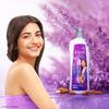 Vivel Lavender & Almond Oil Fragrant Body Wash 500 Ml Pump Bottle Moisturizing Shower Gel For Soft Smooth Skin Effective Cleansing For Women And Men