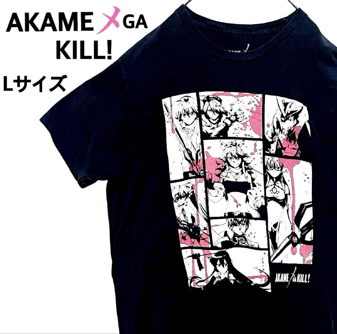 

[USED] Extremely rare Akame ga Kill! T-shirt, black, size L, vintage, some damage