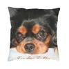 Cavalier King Charles Spaniel Luxury Pillow Cover Home Decorative Dog Animal Cushions For Sofa Double Sided Print Chair Cushion