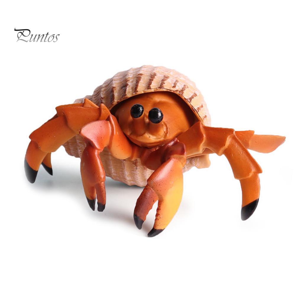 Puntos Kids Toy Simulation Hermit Crab Marine Animal PVC Model Desktop Decor Education