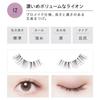 Koji - Dolly Wink Salon Eye Lash