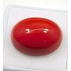 AAA+ Natural Red Coral 22.10 CT Oval Cabochon Cut Italian Loose Gemstone