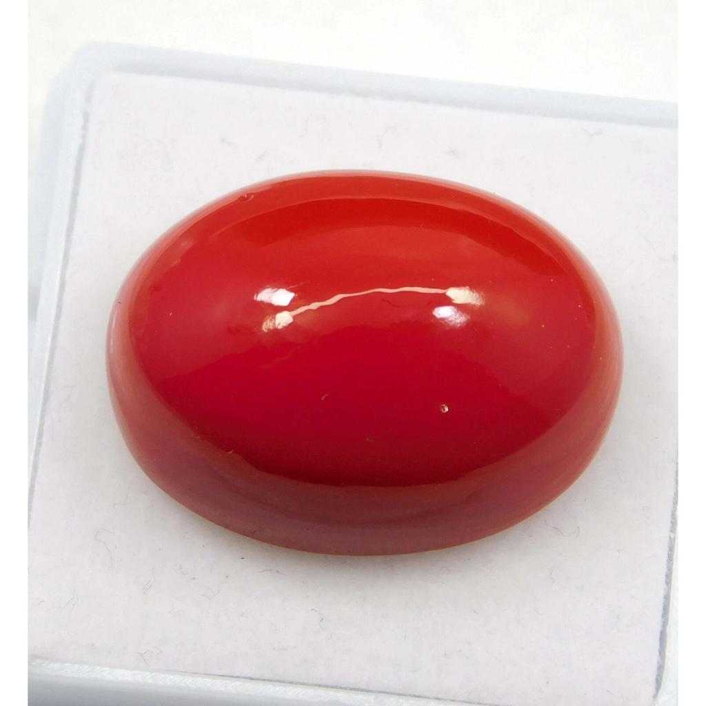 AAA+ Natural Red Coral 22.10 CT Oval Cabochon Cut Italian Loose Gemstone