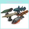 Piranha Pesce Modello Vita Marina Pvc Espositore Didattico Con Base Per Appassionati di Scienze