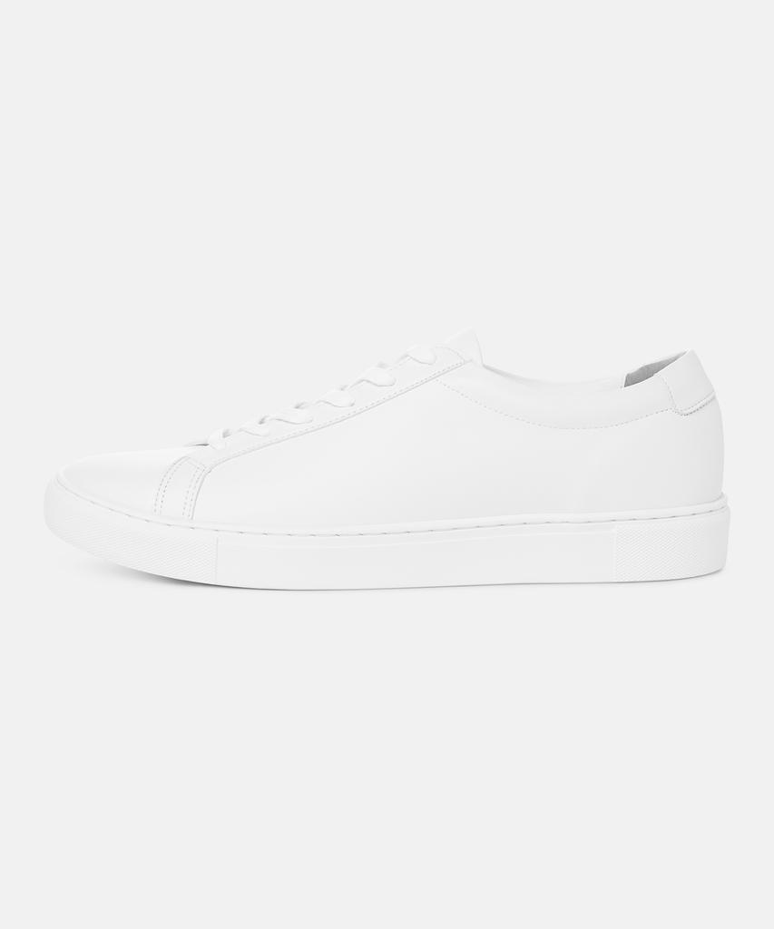 Clayong 5Cm Modern Unisex Sneakers Essential (Cl0032)