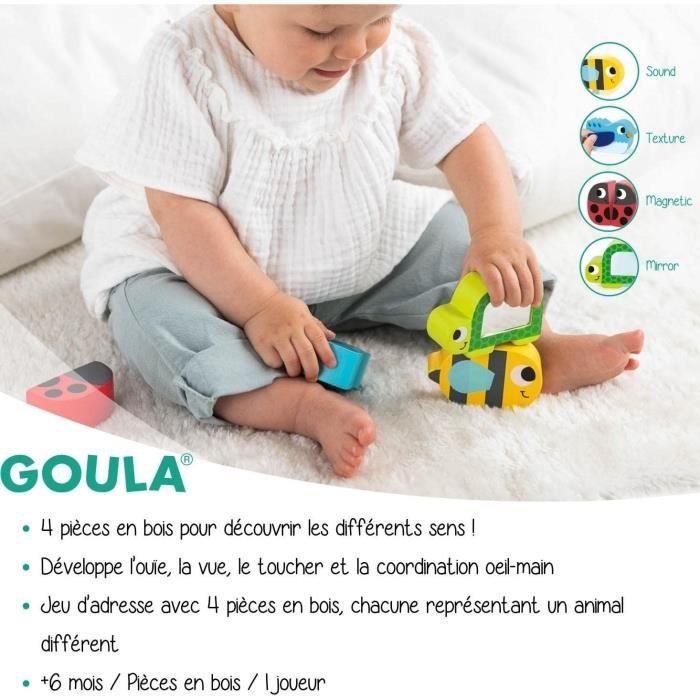 FIRST DISCOVERIES GOULA - Jeux D'apprentissage