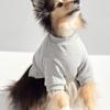 CROOKTHECHIHUAHUA Semi Crop Sweat Shirt - GRAY
