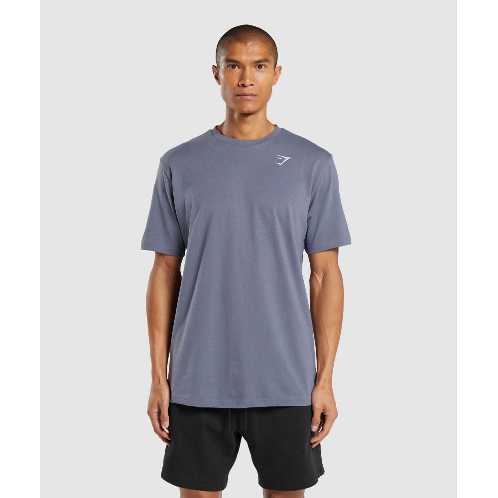 

Футболка GYMSHARK Crest Dewberry Purple A1A3J PBRM