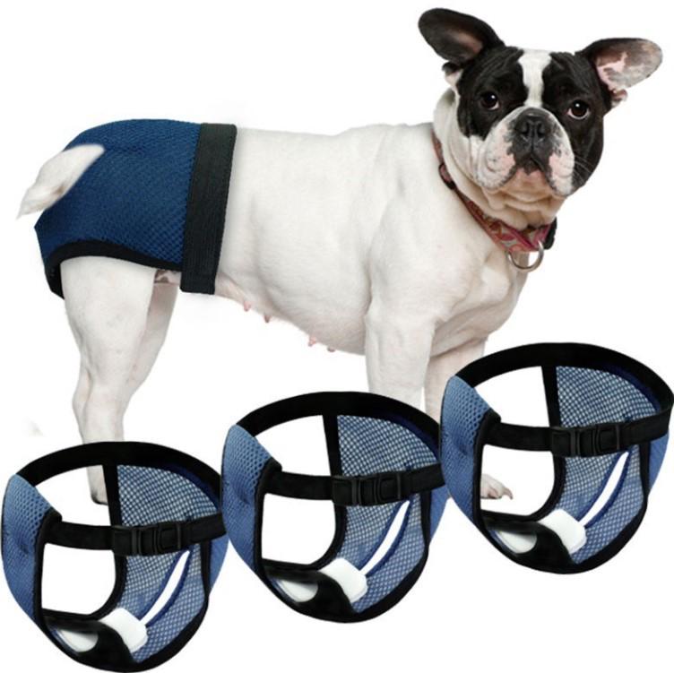 Cross-Border Dog Menstrual & Sanitary Pants - Anti-Harassment Physiological Diaper for Mother Dogs