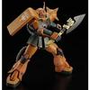 Bandai Mobile Suit Gundam MSV MG Garma Zaku II 1/100 MS-06FS Zabi's