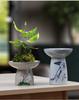 Blue & White Porcelain Flower Pot with Tray for Asparagus Fern, Money Tree, Orchid, Succulents & Bonsai 