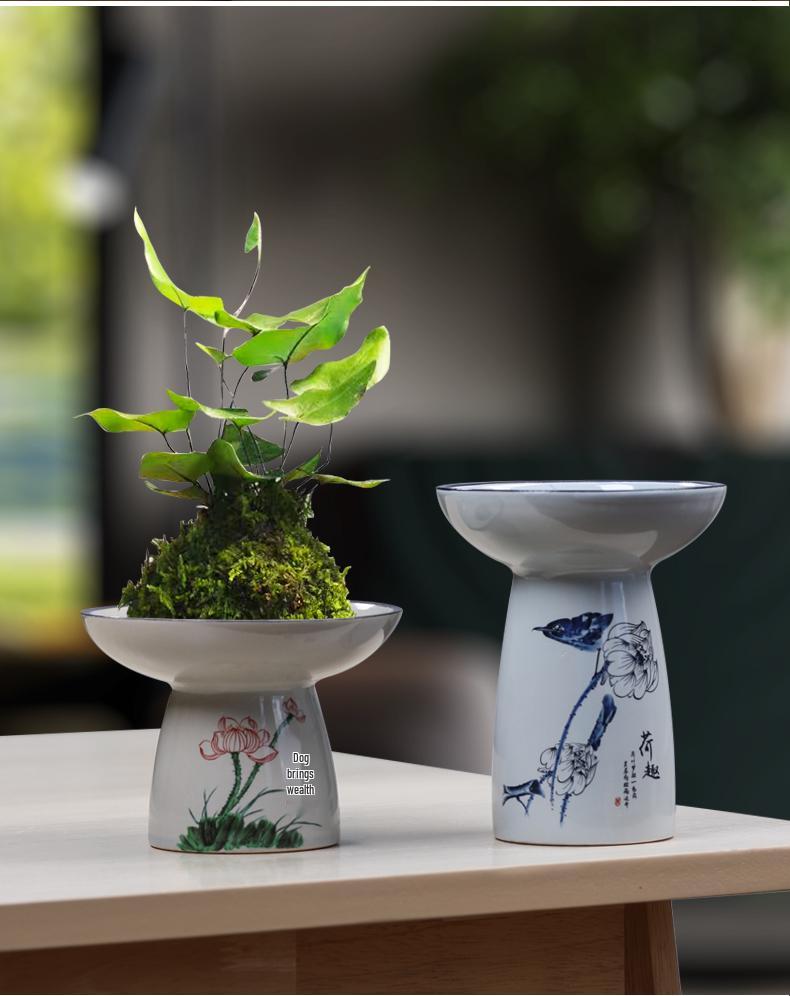 Blue & White Porcelain Flower Pot with Tray for Asparagus Fern, Money Tree, Orchid, Succulents & Bonsai