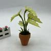 1:12 Dollhouse Miniature Plant Plastic Colorful Taro Green Plant  Miniature Dollhouse Decorations