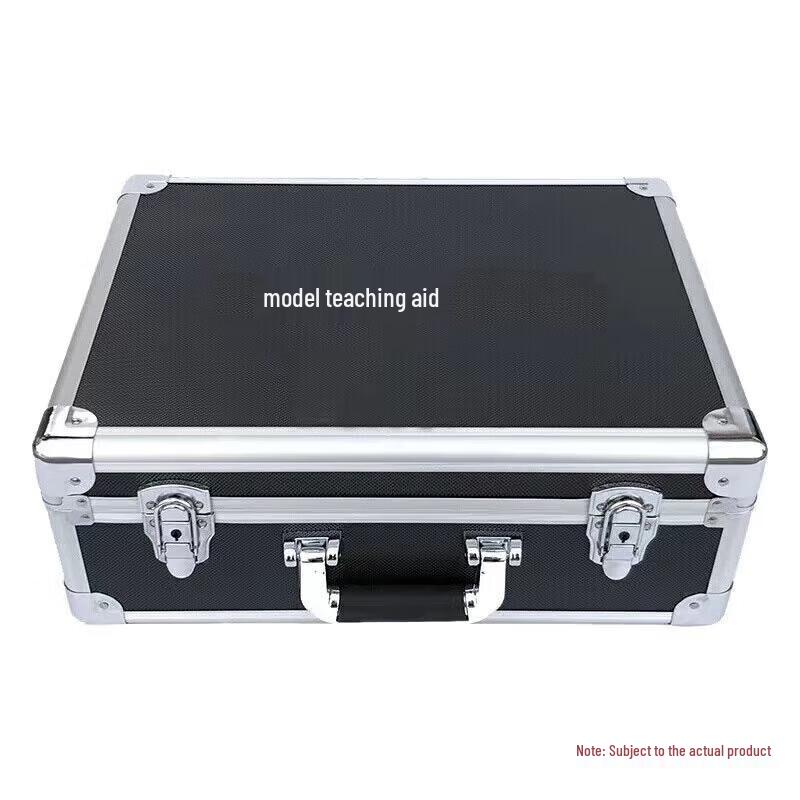 Wenzhiwu Realistic Rubber Training Models