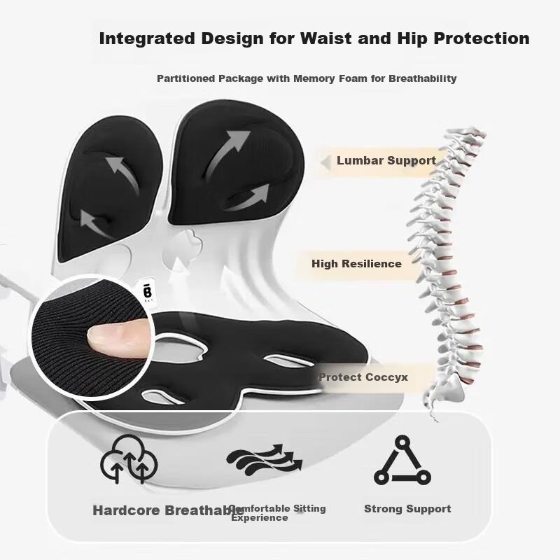 BKT Lumbar Support Cushion, Back Pain