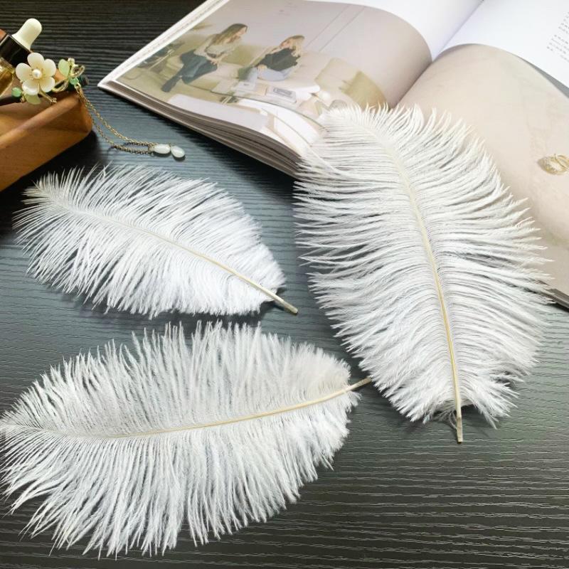 Ostrich Hair Colored Feathers 20-25Cm Wedding Table Lamp Decoration Stage Diy Material Clothing Accessories
